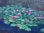 Water-lily