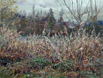 Autumn on the river Oise