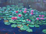 Water-lily