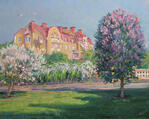 Helsinki. Lilac in blossom