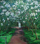Lilac in Helsinki