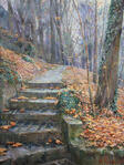 Automne. La vallée de la Pétrusse