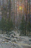 Sunset in winter forest