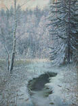Brook in Winter Forest